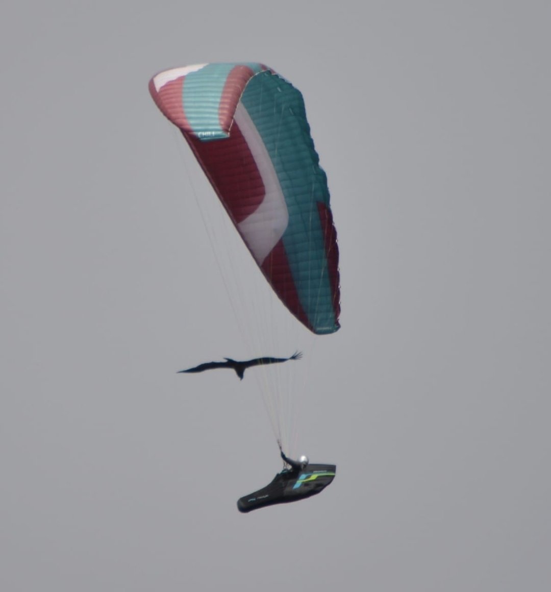 Skywalk Chili 5 talle M — foto 3