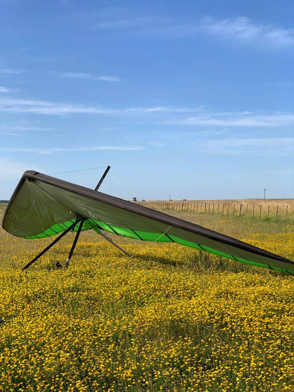 Moyes Gecko 155 — foto 4
