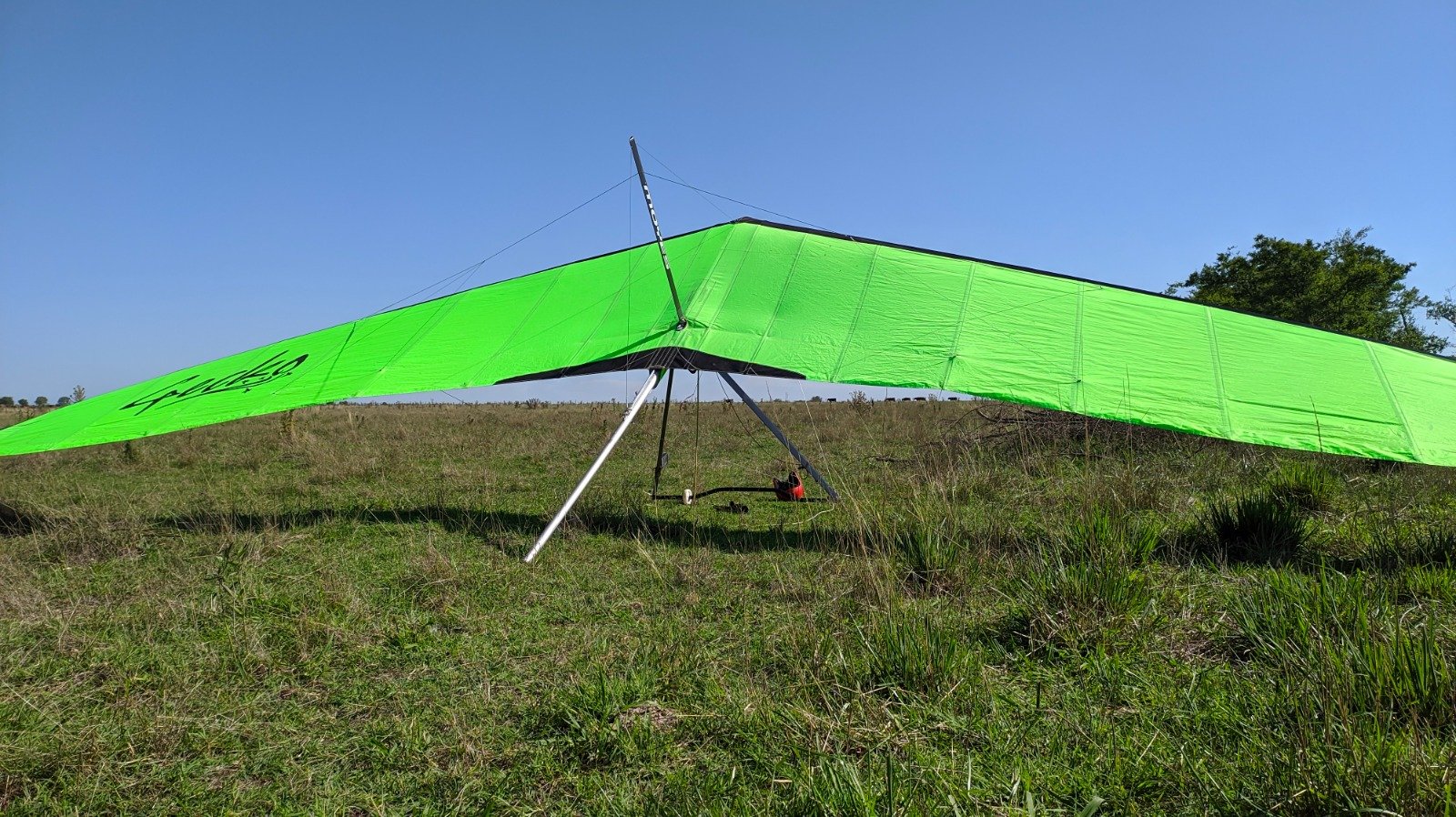 Moyes Gecko 155